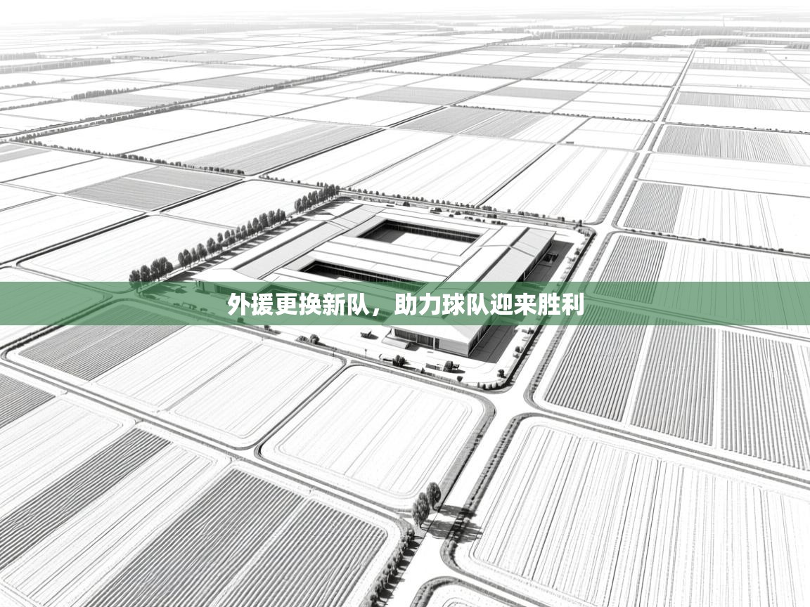 外援更换新队，助力球队迎来胜利