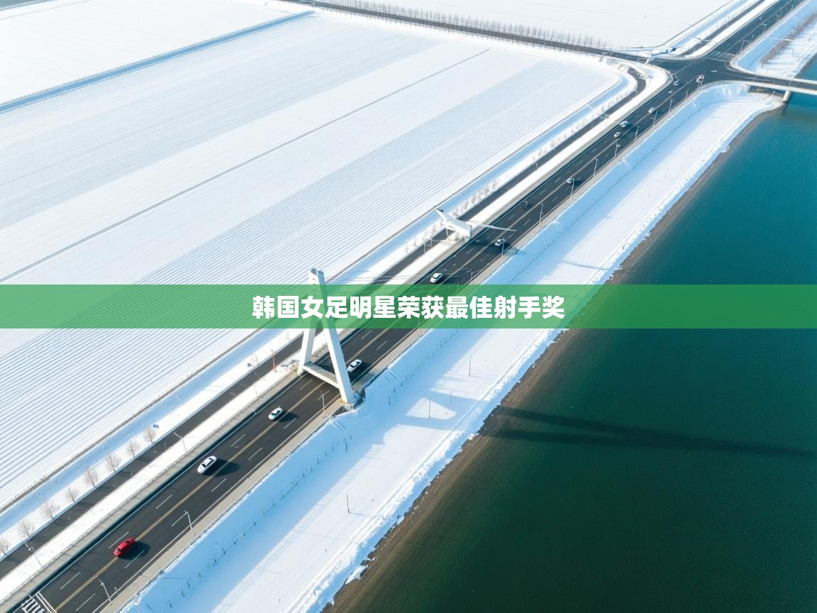 韩国女足明星荣获最佳射手奖