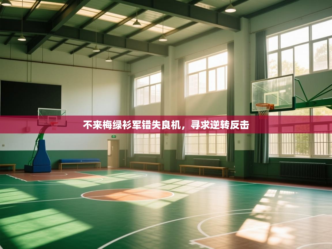 不来梅绿衫军错失良机，寻求逆转反击