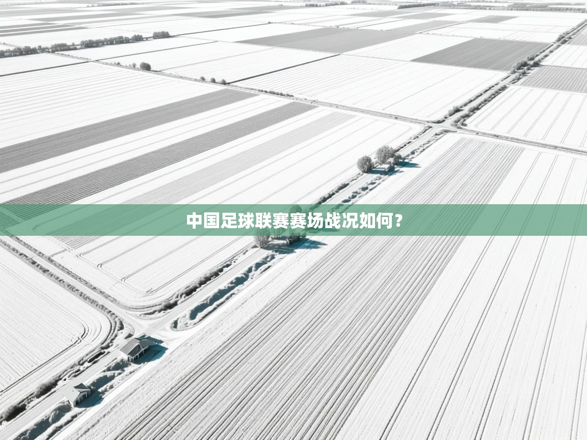中国足球联赛赛场战况如何? 第1张