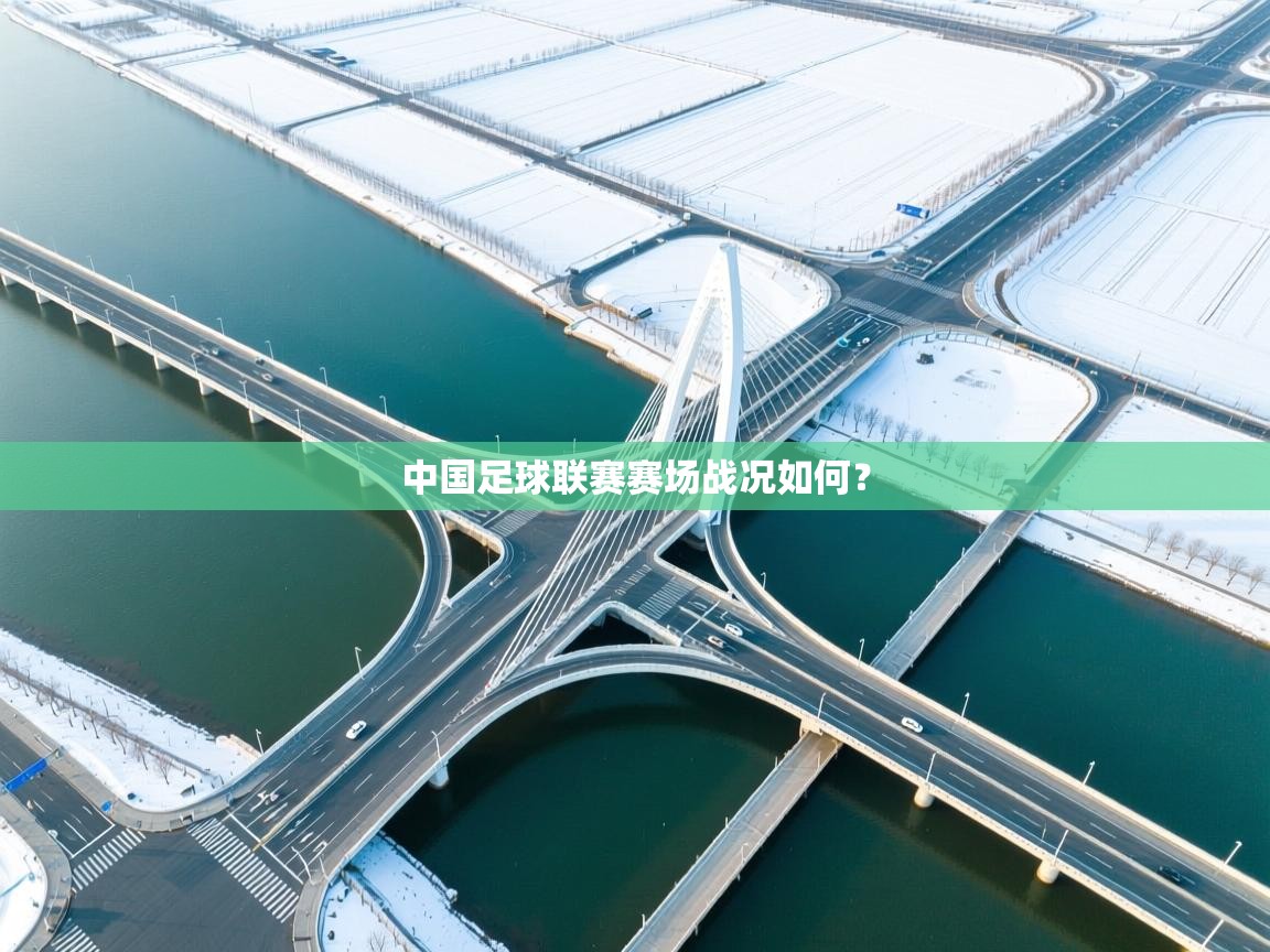 中国足球联赛赛场战况如何? 第2张