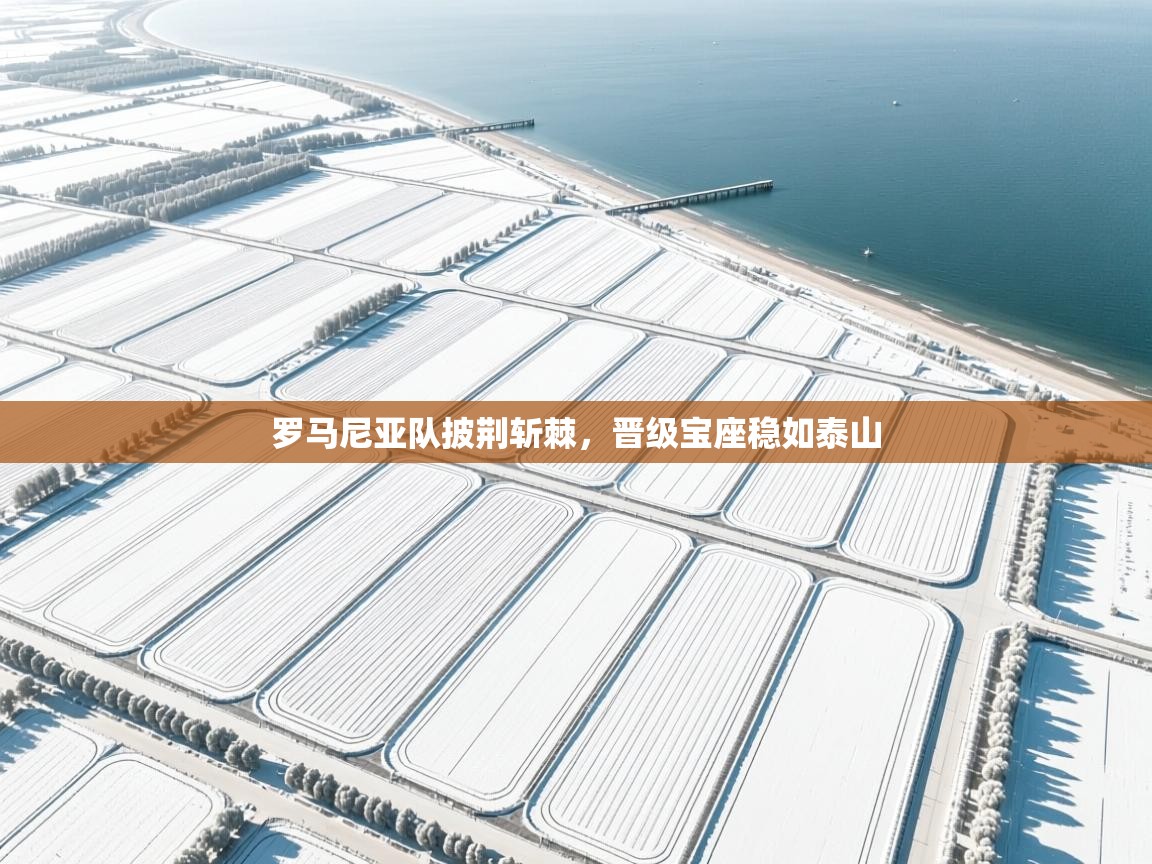 罗马尼亚队披荆斩棘，晋级宝座稳如泰山