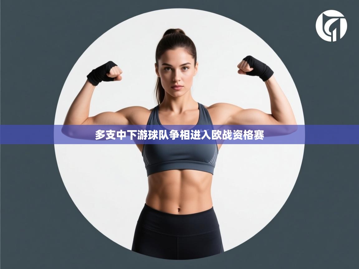 多支中下游球队争相进入欧战资格赛 第1张