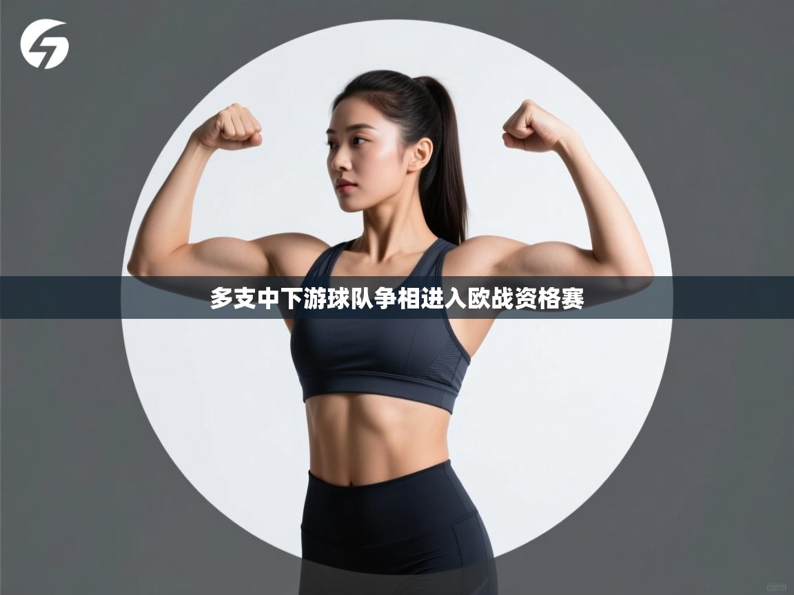 多支中下游球队争相进入欧战资格赛 第2张